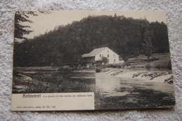 Herbeumont "Le Moulin Et Les Ruines Du Château Fort" - Herbeumont