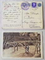 Cartolina Postale Per Le Forze Armate P.M.61 (Grecia) Per Ferrara - 22/08/1943 Illustraz. Gino Spalmach - Posta Militare (PM)