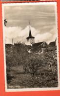 PCP-26 Grancy  L'Eglise. Verger Au Premier Plan. Cachet Grancy 1952  Deriaz 7421 - Grancy