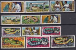 Guinea 1967 Animals Snakes Mi#425-436 A Mint Never Hinged - Guinée (1958-...)