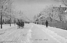 Zürich - Utoquai - Attelage De Chevaux Avec Traîneau -  Pferdeteam Mit Schlitten - Zürich