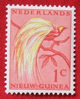 1 Ct Paradijsvogels Birds Vogel NVPH 25 1954 Ongebruikt MH NIEUW GUINEA NIEDERLANDISCH NEUGUINEA NETHERLANDS NEW GUINEA - Netherlands New Guinea