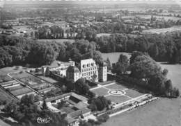 01-FAREINS-LE CAHTEAU VUE AERIENNE - Sin Clasificación