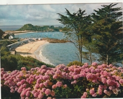 *** CALENDRIER 1975***  TREBEURDEN La Plage 14x20cm --carte Postale Géante Calendrier Au Dos Offert  éditions  YVON - Groot Formaat: 1971-80