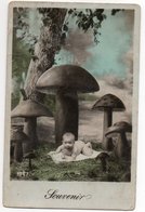 CHAMPIGNONS *  BEBE * SOUVENIR * Carte Colorisée & Glacée - Mushrooms