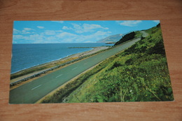 2938-          CANADA, N.S. , CAPE BRETON, CABOT TRAIL - Cape Breton