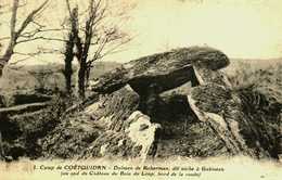 Dolmen   56   Camp De Coetquidan - Dolmen & Menhire