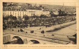 CANTAL  AURILLAC  Jour De Foire Aux Mulets - Aurillac