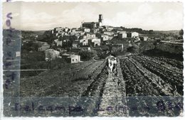 - FUVEAU -  ( B Du R ), Vue  Générale, Cliché Rare, Charrue Avec Cheval Dans Vigne, Charrue, TBE, Scans.. - Other & Unclassified