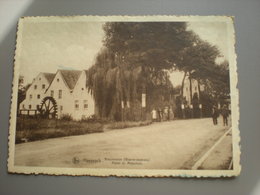 MAASEIK - BOSCHMOLEN - WEERTERSTEENWEG - WATERMOLEN - GROOT FORMAAT - Maaseik