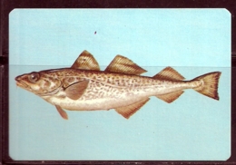 1988 Pocket Calendar Calandrier Calendario Portugal Peixes Fishes Poissons Pez - Grand Format : 1981-90