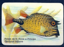 1990 Pocket Calendar Calandrier Calendario Portugal Peixes Fishes Poissons Pez Ostracion Tricornis - Grand Format : 1981-90