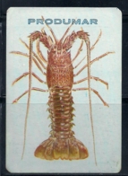1987 Pocket Calendar Calandrier Calendario Portugal Marisco Shellfish Crustaceos Mariscos - Grand Format : 1981-90