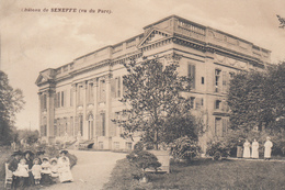 Château De Seneffe (vu Du Parc) - Très Belle Carte  Animéé - état Voir Scan. - Seneffe