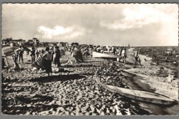 CPSM 66 - Canet Plage - La Plage - Vue Générale - Canet En Roussillon