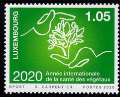 Luxembourg - 2020 - International Year Of Plant Health - Mint Stamp - Nuevos