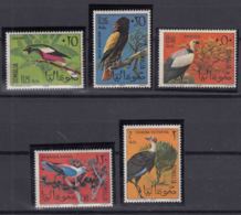 Somalia 1966 Birds Mi#84-88 Mint Never Hinged - Somalia (1960-...)