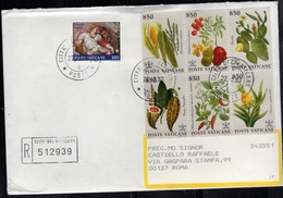 CITTÀ DEL VATICANO VATICAN VATIKAN 1993 FLORA DEL NUOVO MONDO 1992 + CAPPELLA SISTINA 100 RACCOMANDATA REGISTERED LETTER - Storia Postale