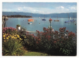 Wasserburg Am Bodensee - Blick Von Wasserburg Auf Die Bregenzer Bucht - Wasserburg (Bodensee)