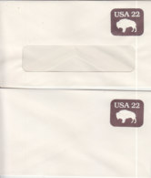 E147 - ETATS UNIS USA ENTIER ENVELOPE BISON - 1981-00