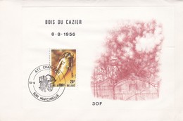 Enveloppe FDC Bloc 57 2018 Bois Du Cazier Mineur Marcinelle - 1981-1990