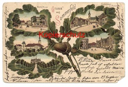 Sommerfeld 1901 Nach Zweibrücken - Neumark
