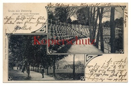 Zielenzig 1906, Partien Der Neuen Promenade Am Alten Kirchhof - Neumark