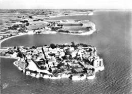 17-ROYAN-TALMONT- VUE AERIENNE - Royan