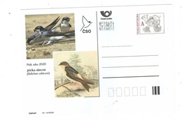 Czech Republic 2020 - Delichon Urbicum, Bird Of Year, Special Postal Stationery, Potcard, MNH - Hirondelles