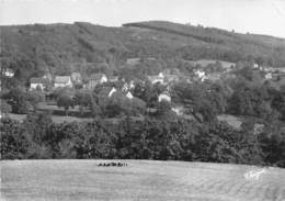 19-CHAUMEIL- VUE GENERALE - Sonstige & Ohne Zuordnung