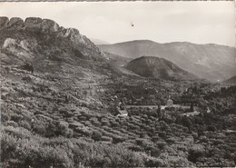 BUIS LES BARONNIES. - Fontaine D'Annibal.  CPM Dentelée - Buis-les-Baronnies