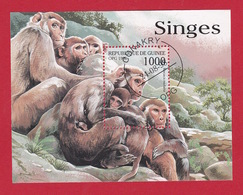 Guinée Bloc-feuillet Singes Macaca Muleta 1998 Michel GN BL542 - Monkeys