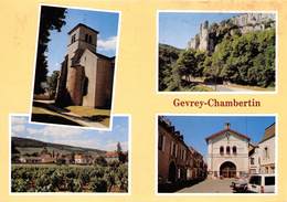 21-GEVREY-CHAMBERTIN-MULTIVUES - Gevrey Chambertin