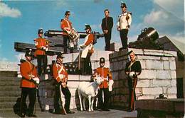 Pays Div Ref X73- Canada - Old Fort Henry Guard  -kingston -plan Chevre - Chevres - Goat - Goats -/leger Pli Coin Haut D - Kingston