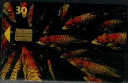 DENMARK 1998 PHONECARD FISHES USED VF!! - Dolfijnen