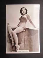 REAL PHOTO - PIN UP (V2004) ANNE RUTHERFORD (2 Vues) N°23 BEAUTIES OF TO-DAY Fourth Series - Phillips / BDV