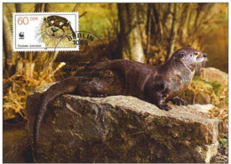 Allemagne DDR : CM Carte Maximum Loutre Otter Lutra Mammifere Aquatique Eau Europe Mustelidae Carnivore Animaux WWF - Muro Di Berlino