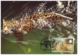 Belize : CM Carte Maximum Jaguar Panthera Onca Carnivore Felin Mammifere Amerique Animal WWF - Belize