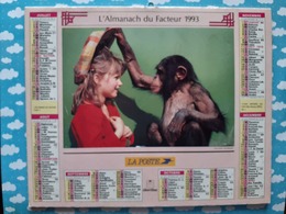 CALENDRIER DU FACTEUR ALMANACH CHIEN SINGE ET ENFANT 1993 - Grand Format : 1991-00