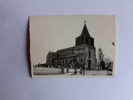 43335  -  Bierbeek  église  Photo Gevaert    11,5  X  8,5 - Bierbeek