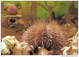 Alderney : CM Carte Maximum WWF Vie Marine Oursin Des Sables Sea Urchin - Alderney