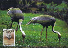 Oiseaux (White-naped Crane) Birds KOREA Animals Aves Faune Fauna Carte Maximum Card WWF - Corée Du Sud