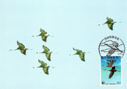 Oiseaux (White-naped Crane) Birds KOREA Animals Aves Faune Fauna Carte Maximum Card WWF - Corée Du Sud