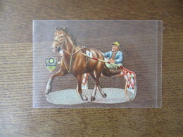 CHEVAL TROTTEUR ET DRIVER 10,5cm/9cm - Tiere