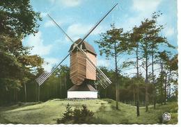 Lommel Molen - Lommel