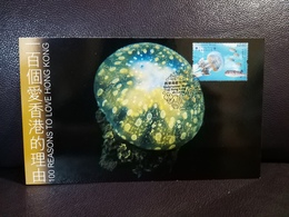 Papuan Jellyfish Maximum Card 2019 Underwater World Of Hong Kong Type B - Cartoline Maximum