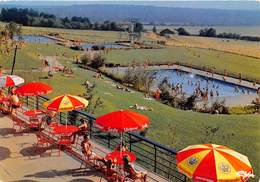 25-MONTBELIARD- LA PISCINE DE LA PETITE HOLLANDE - Montbéliard