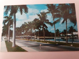 FLORIDE 2 CARDS FORT LAUDERDALE ET CARTE - Fort Lauderdale