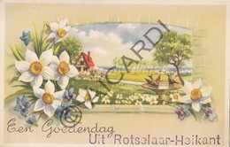 Postkaart-Carte Postale ROTSELAAR-Heikant Een Goedendag  (B354) - Rotselaar