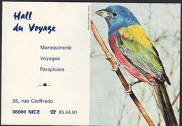 Calendarietto Pocket Calendar Calendrier 1977 Nice Nizza Bird Oiseau Uccello Vogel Pájaro SCD00026 - Small : 1971-80